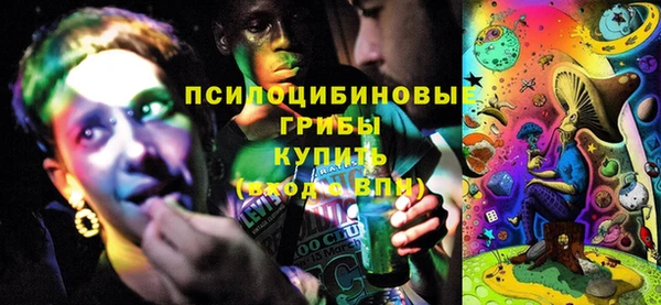 экстази Алексин