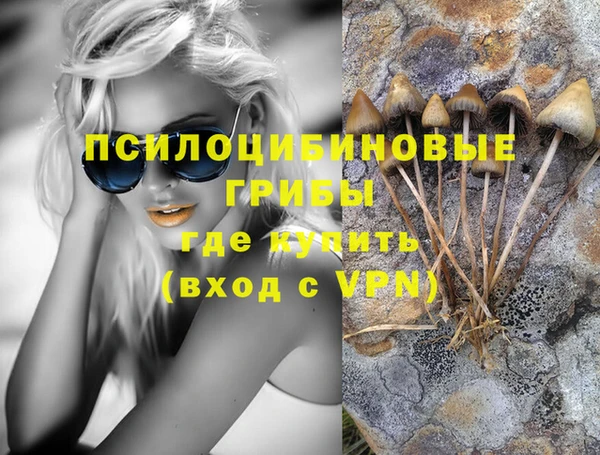 стаф Алексеевка