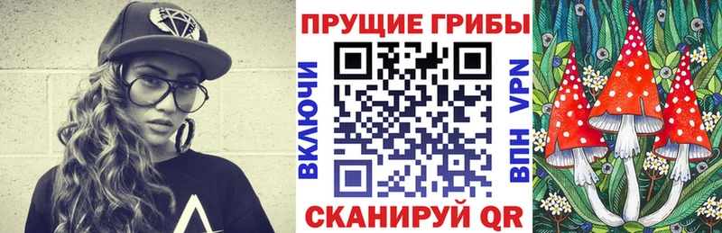 Галлюциногенные грибы Psilocybe  Дрезна 